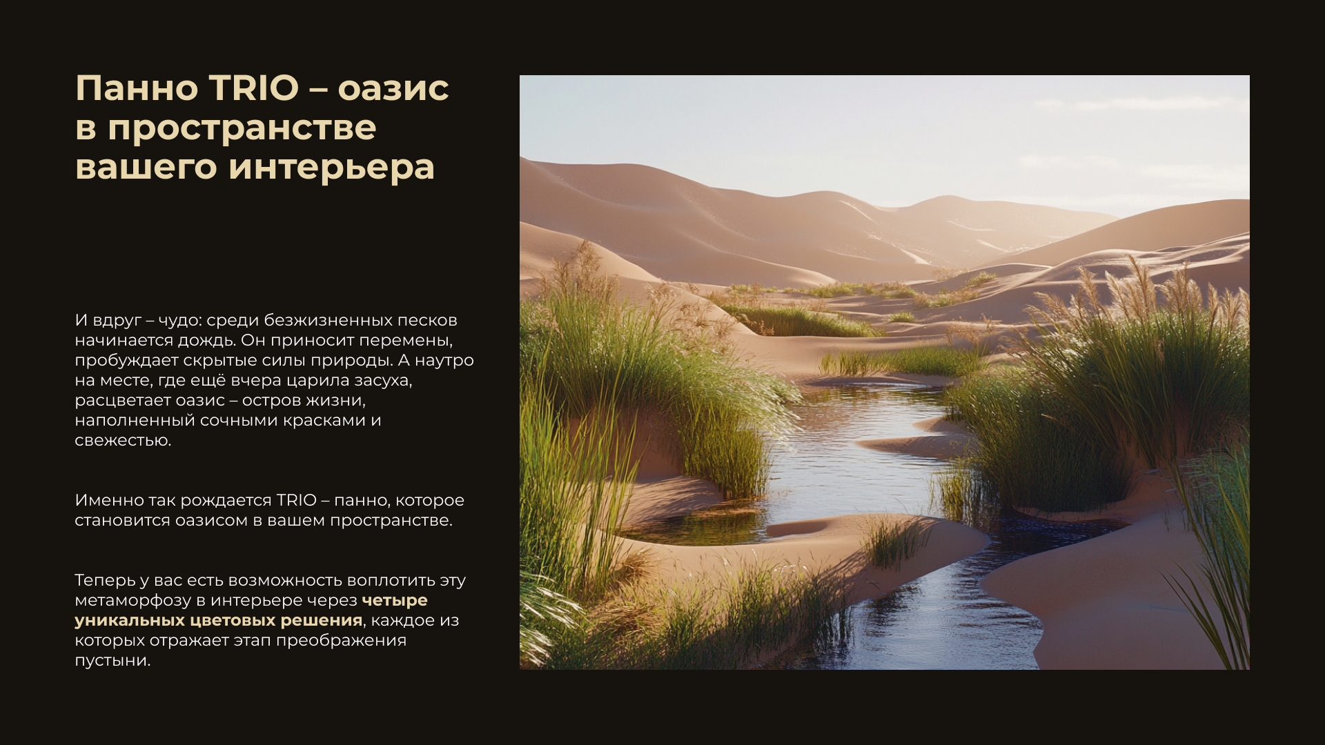 ТРИО content section 4